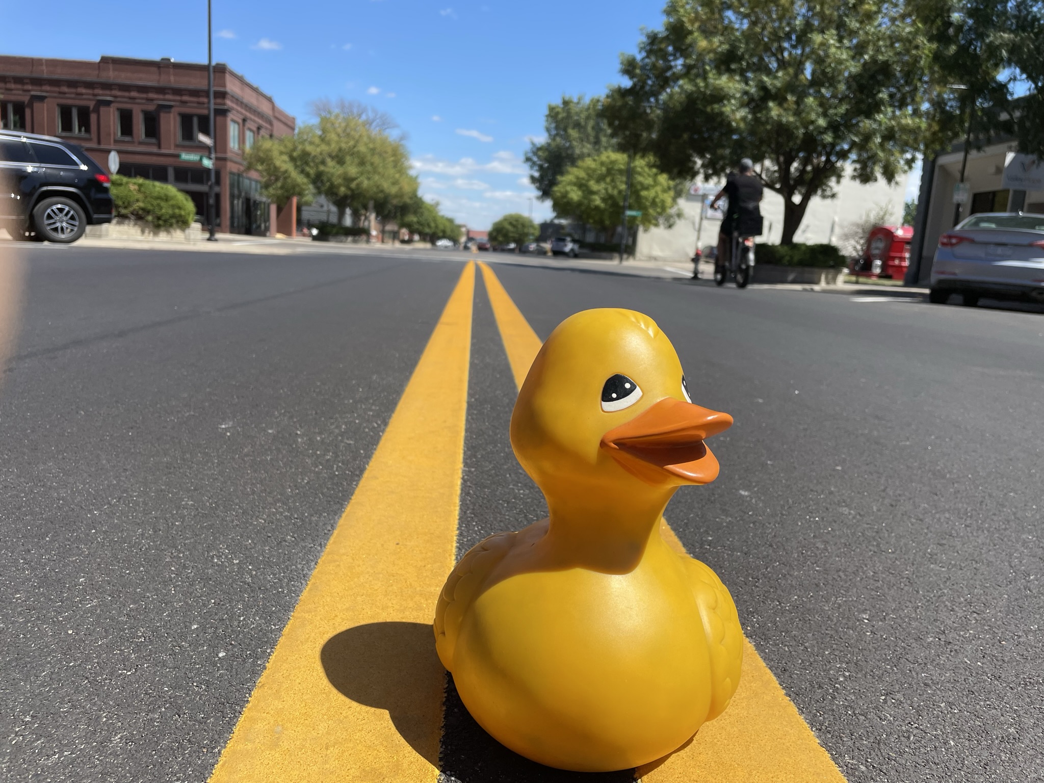 The Ducking Images, Fall 2022 Edition 53