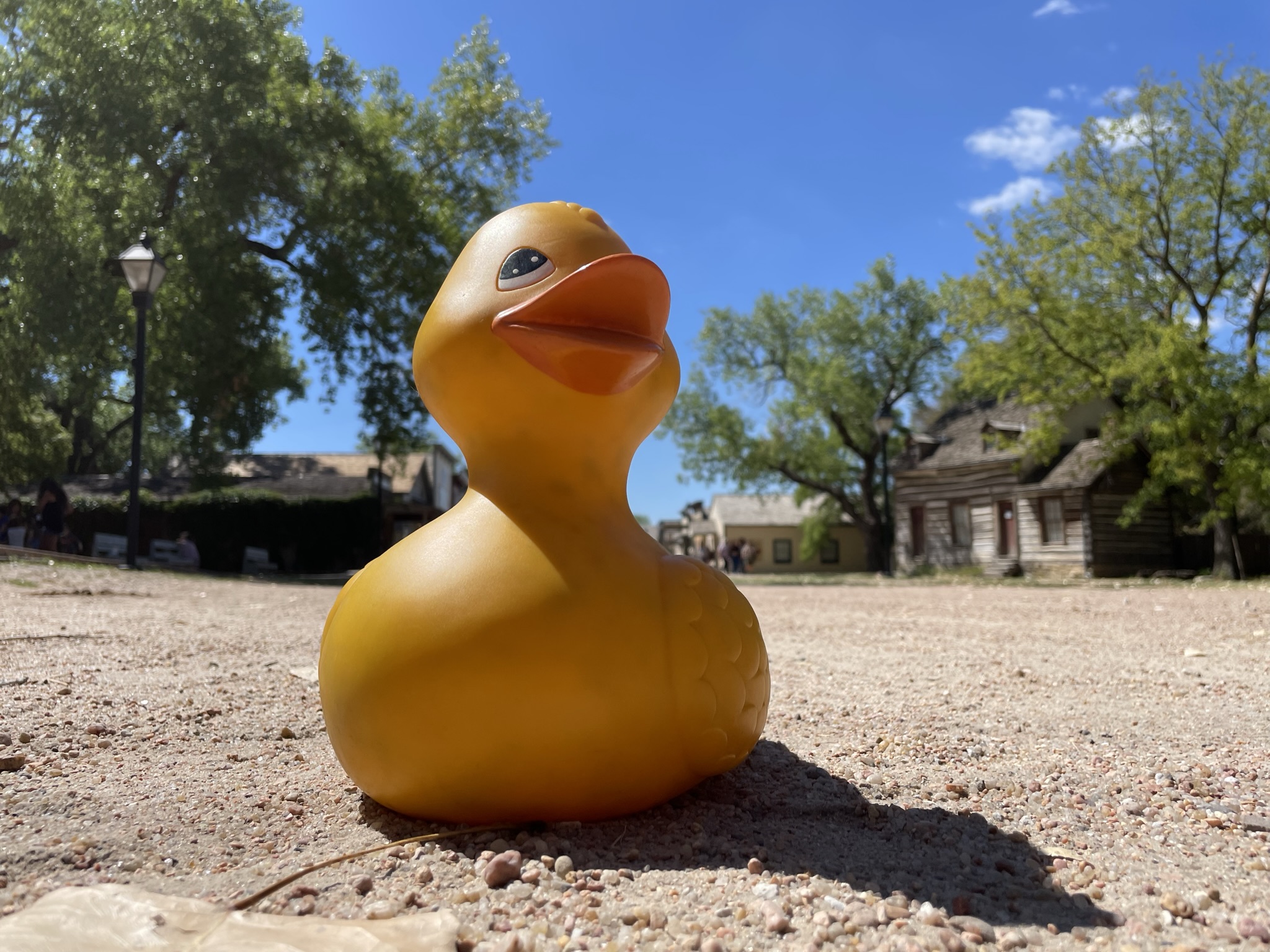 The Ducking Images, Fall 2022 Edition 24