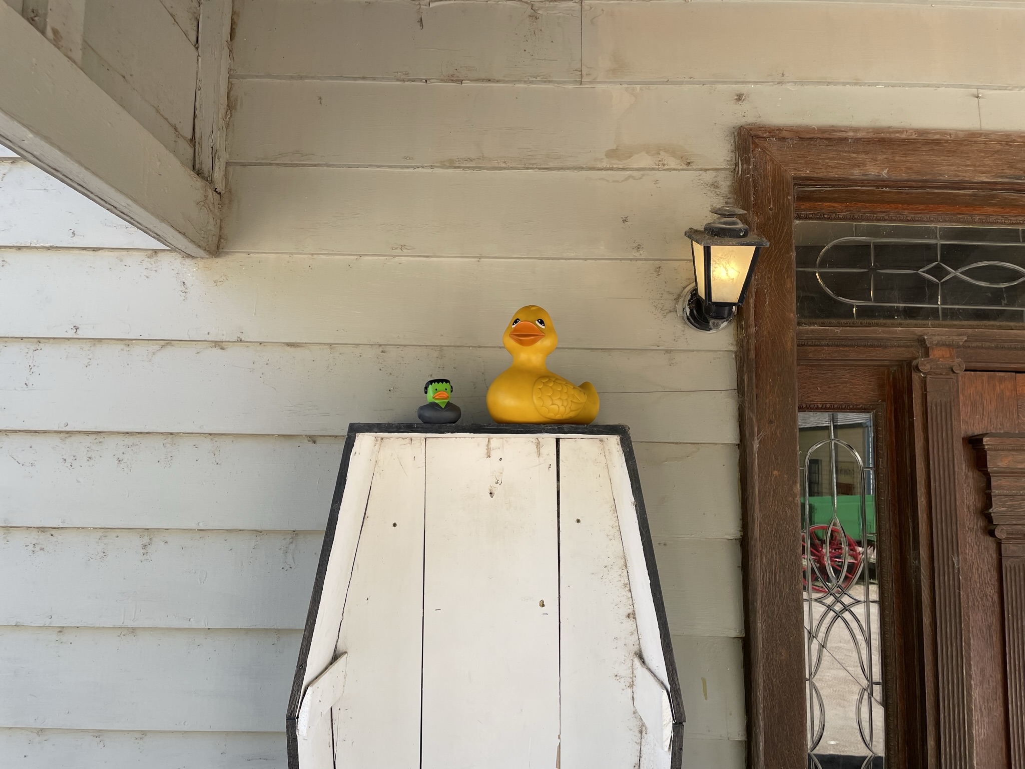 The Ducking Images, Fall 2022 Edition 23