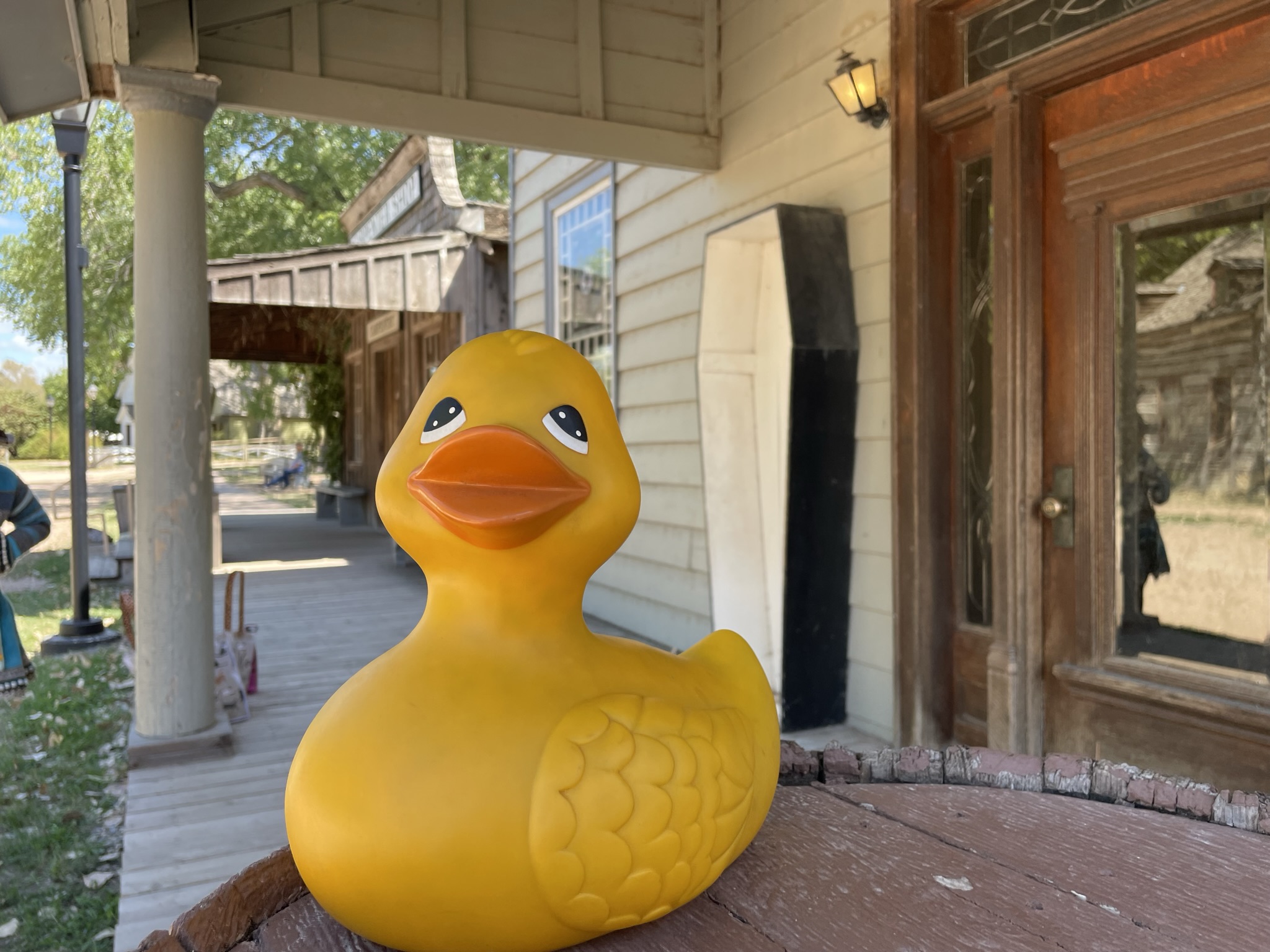 The Ducking Images, Fall 2022 Edition 21