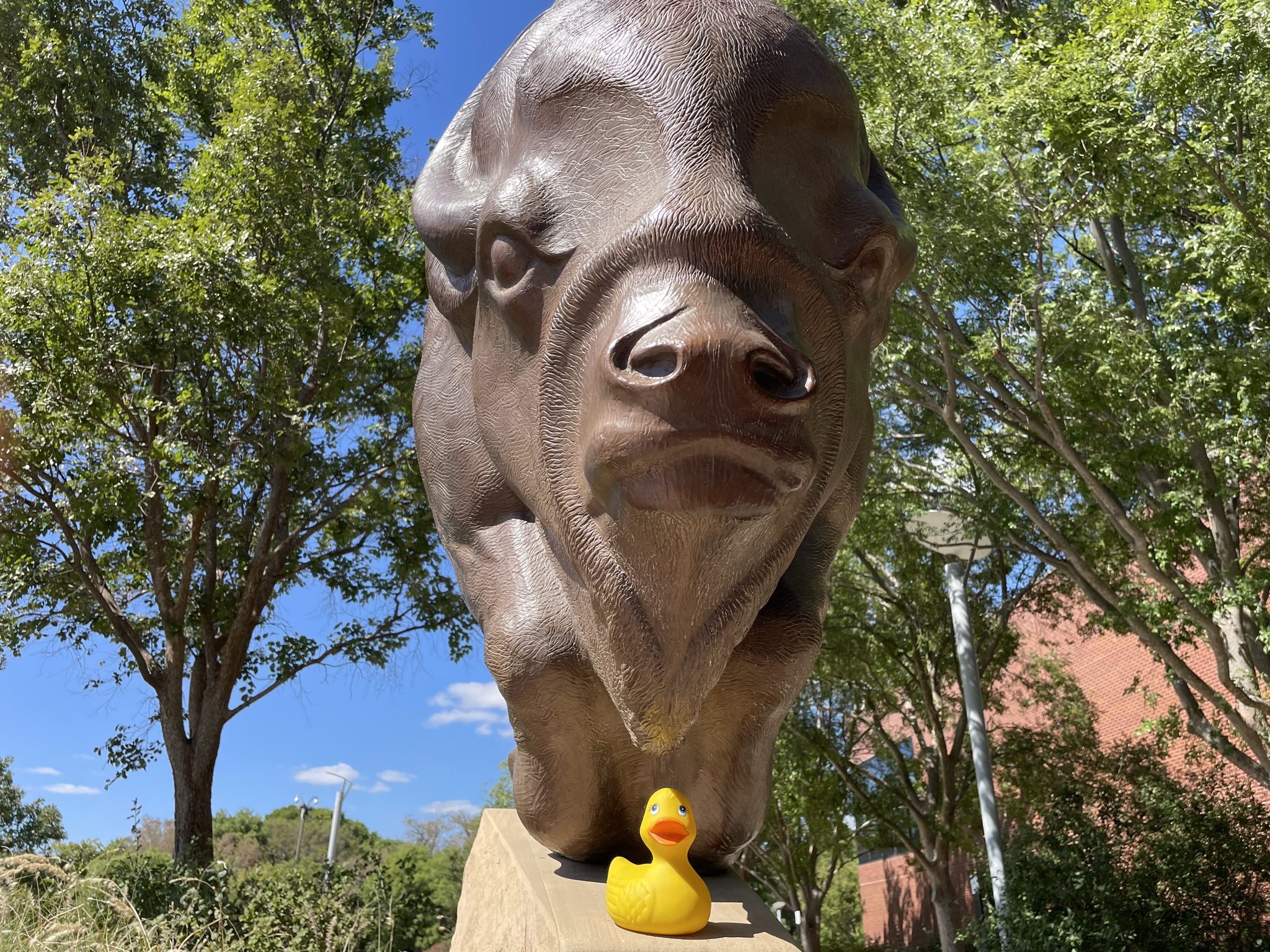 The Ducking Images, Fall 2022 Edition 7